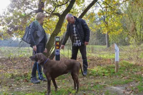 Acomodações confortáveis e bem conservadas, localizadas em um parque aquático no Boschmolenplas. - Image 3
