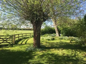 16 Century Farmhouse Cottage, foothills of iconic Glastonbury Tor. - Image 4