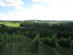 The house with 3 bedrooms and a large terrace with a view of the wine hills - Image 5