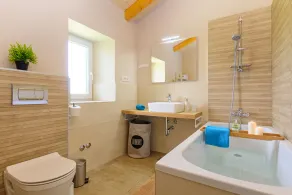 Indigenous Istrian modern stone villa SAN on a spacious property of 5500m2 - Image 5