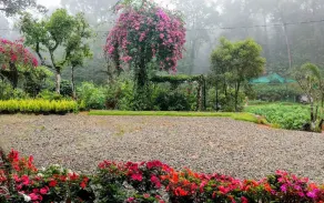 Flower Valley Plantation Homestay - Image 2