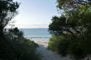 On the Verge - charming Callala Beach cottage - Image 5