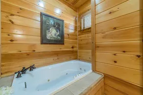 FALLING LEAF LODGE | LUXURY SECLUDED LOG CABIN - Image 5
