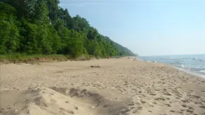 Livingston's Fabulous Beachhouse - Image 5