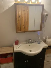 Mid century modern home for rent in sought after Chester - Image 3
