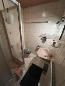 Gemuetliche-Ferienwohnung-Nr-2-im-Harz-fuer-max-3-Personen - Image 2