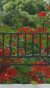 Rollanda Hotel - Image 5