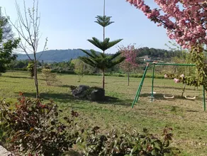 Quinta do Toutuço - Image 2