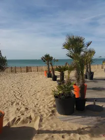 Et enestående naturhjørne 3 km fra stranden og 15 minutter fra La Rochelle - Image 4