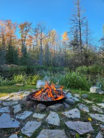The Copper Squirrel is a secluded full log cabin on 10 acres. - Image 2