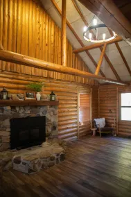 Secluded Cabin, 10 acres, Hot tub, fire pit, pond - Image 2
