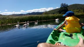 Feriehus tæt på Plitvice Lakes - Image 2