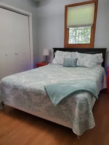 Live your Best Vacation Life! Lovely 4 BR Property on Cayuga Lake.  Dog Friendly - Image 4