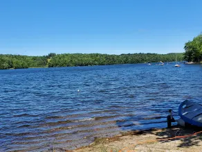 Cute and cozy lake cottage, next to DAR State Forest - Image 3