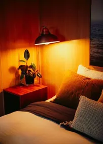 Kelp Cabin intimate, calm and restful - Image 4