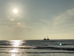 Historische Friesenkate im Nationalpark Wattenmeer - Image 3