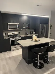 Modern condo in the city.. ten minutes away from Lenox mall and perimeter mall  - Image 5