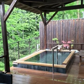 Shiobara Onsen Yuyado Umekawaso - Image 2