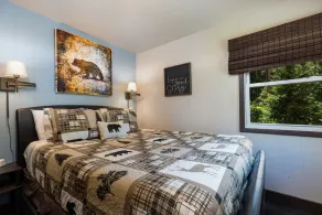 Quaint Dog Friendly Cabin with private sauna and hot tub 7 minutes from Breck - Image 5