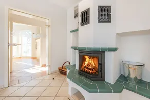 Villa Cölpin - Stranddistel 01 - Image 2