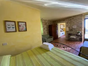 The casina of the NOT time downstairs - Image 4