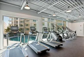 Brand new deluxe Sarasota condo close to everything! - Image 4