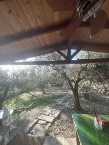 Lodge in the olive grove - Image 4