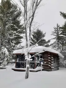 The Copper Squirrel is a secluded full log cabin on 10 acres. - Image 4