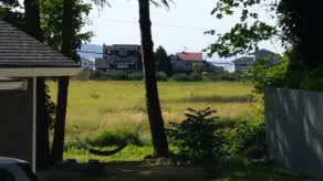 Malerisk Useless Bay Guest House - Image 3