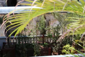 Casa Zenia Siglo V - Image 3