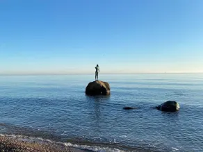I skuggan av tallarna direkt bakom sanddynerna - Image 3