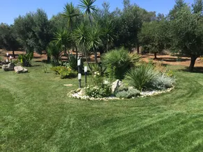 \"VILLA ARGENTI\" - VILLA AVEC PISCINE ENTRE MER ET CAMPAGNE À SALENTO - Image 2