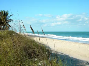 Beachside Bliss Awaits! Limited Special Offers Casa Maria Beach & Pool Paradise - Image 5