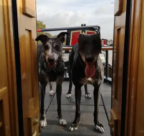 Narrowboat - 4 sovepladser - Lady Sophia - Image 2