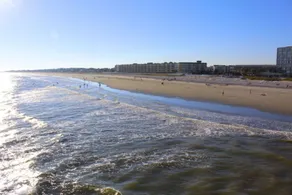 1 min de la plage. Condo artistique et relaxant situé au cœur de la plage amusante de Folly. W / Parking. - Image 5