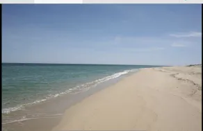 Beachfront Home on the East Cape of Mexico! - Image 4