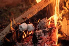 Stand Alone cabin with Whirlpool Tub, Full Kitchen & Fire Pit Near Starved Rock - Image 2