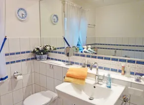 Seeschwalbe - Image 3