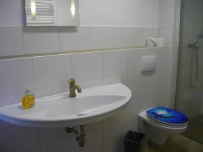 Holiday apartment on a horse farm - Image 2