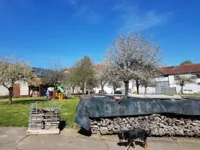 Ferienwohnung im Schönen Odenwald - Image 3