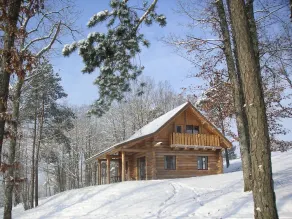 Champagne log cabin with SWIMMING POOL (summer) and SAUNA (winter) - Image 5