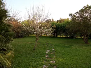 Villa Floris con Giardino Mediterraneo e Parco - Wifi - Image 5