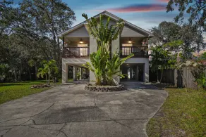 TreeHouse i Tampa - Image 4