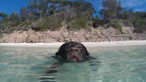Waterside, Pet Friendly Beach House - Image 2