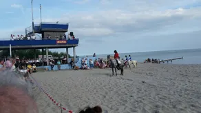 A relaxing getaway between the forest and the sea, W4 for up to 6 people - Image 2