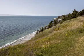 Sunset Bluff House - Stunning Ocean Views - Image 3