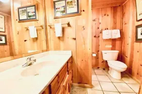 Liberty Cabin Number 301 - Image 2
