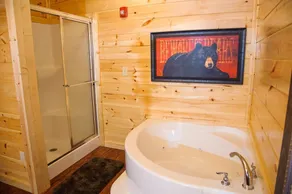 Greenbrier Estate 28 Bedroom Cabin by RedAwning - Image 3