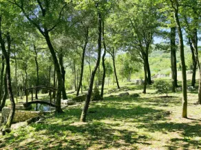 Holiday Home Panorama 2 by Interhome - Image 2
