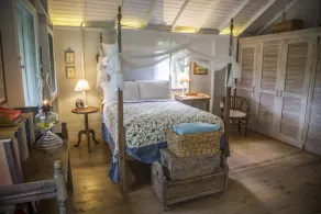 Eco Cabin in remote Caribbean Woodlands - Image 5